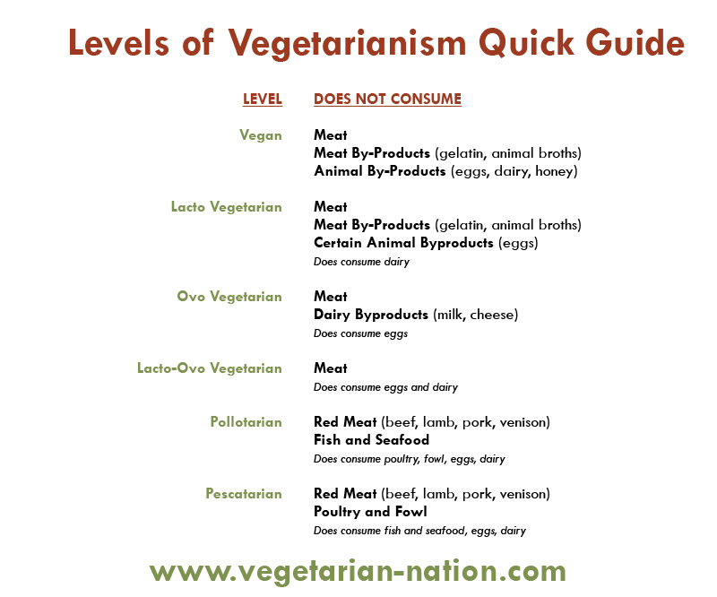 Difference Between Vegan And Vegetarian Chart