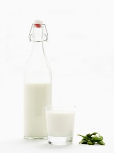 Dairy Substitute Soy Milk