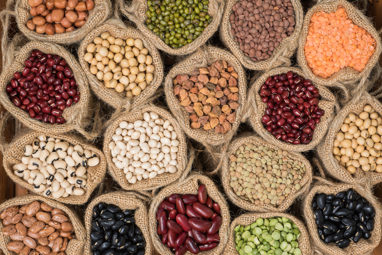 Beans & Legumes as Vegetarian Protein Source